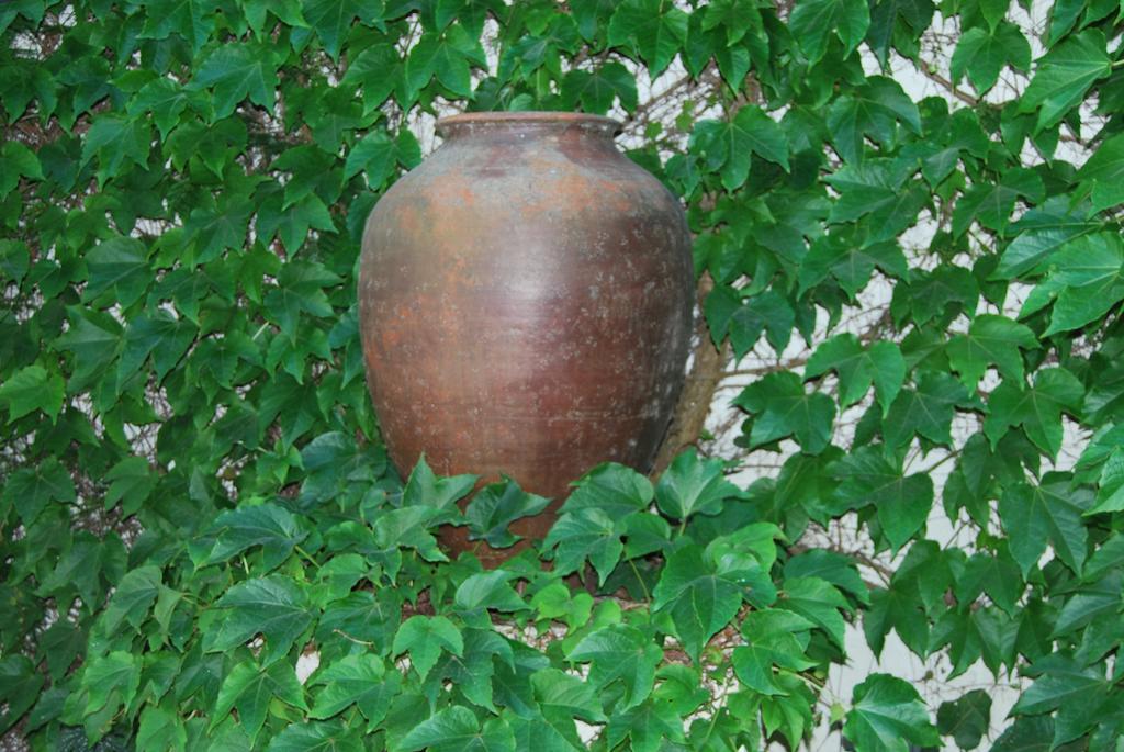 וילה נובה דה מילפונטס Rio Natural מראה חיצוני תמונה